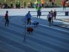 Vylet mladez mistrovstvi CR hry plamen Brno 2014